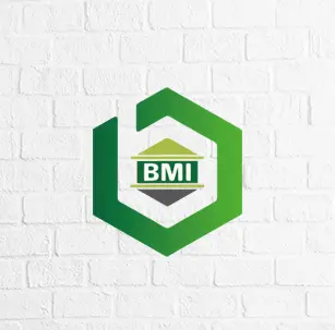 logo-BMI-1-1